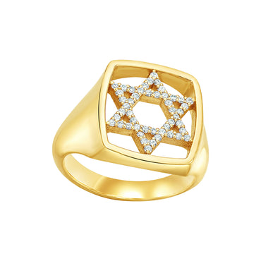The Ahavah Diamond Signet Pinky RIng LeahJessica Jewelry
